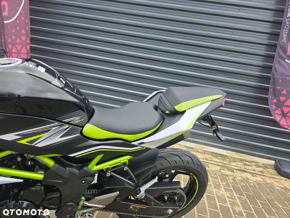 Kawasaki Z - 10