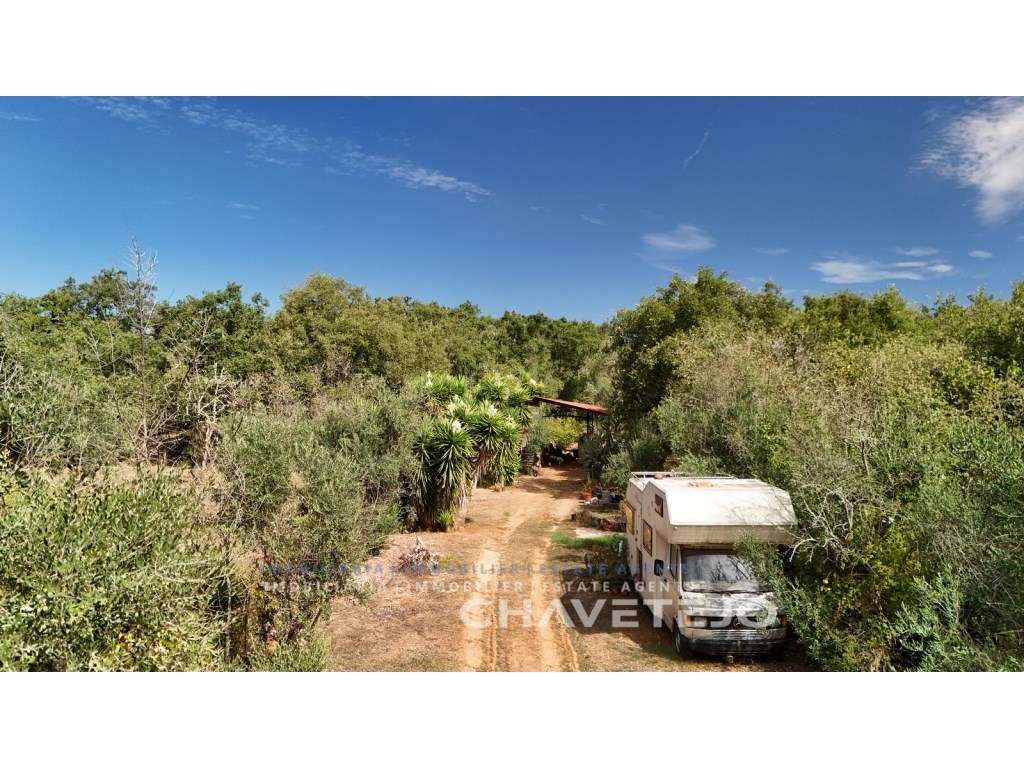 Terreno Rústico Privado com Construção Rural e Autocaravana - Grande imagem: 3/32