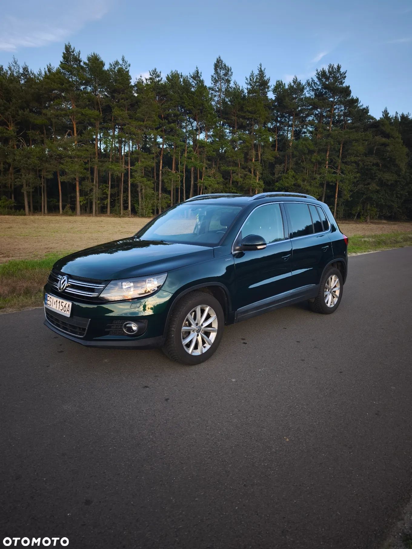 Volkswagen Tiguan 1.4 TSI DSG BlueMotion Technology Lounge Sport & Style - 1