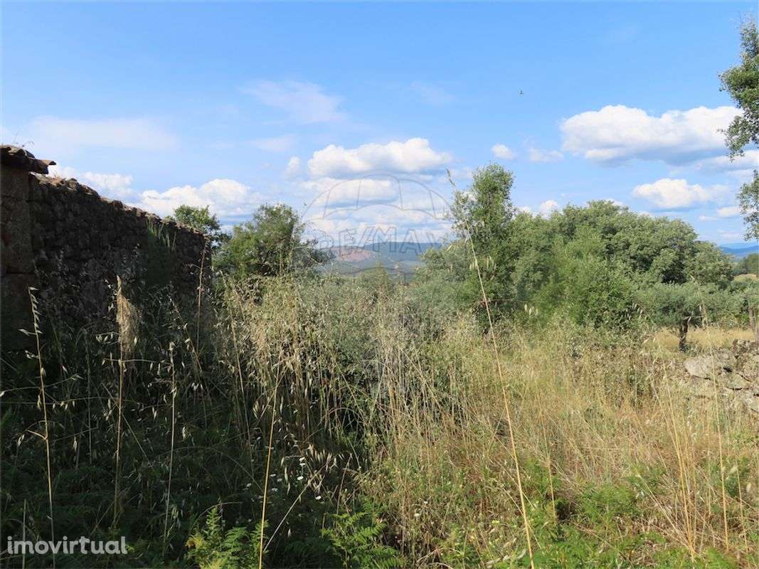 Quinta  para venda - Grande imagem: 5/22