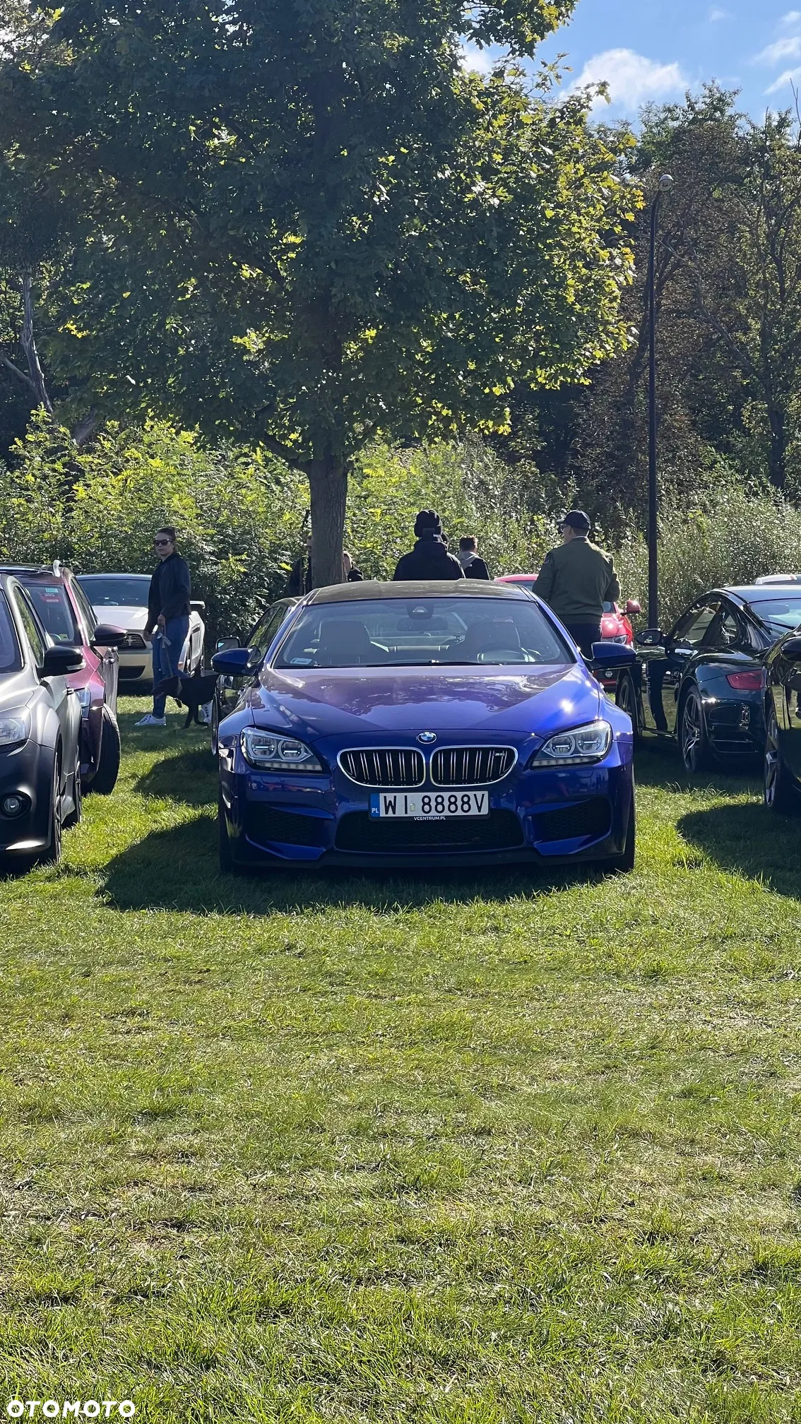 BMW M6 Standard - 7