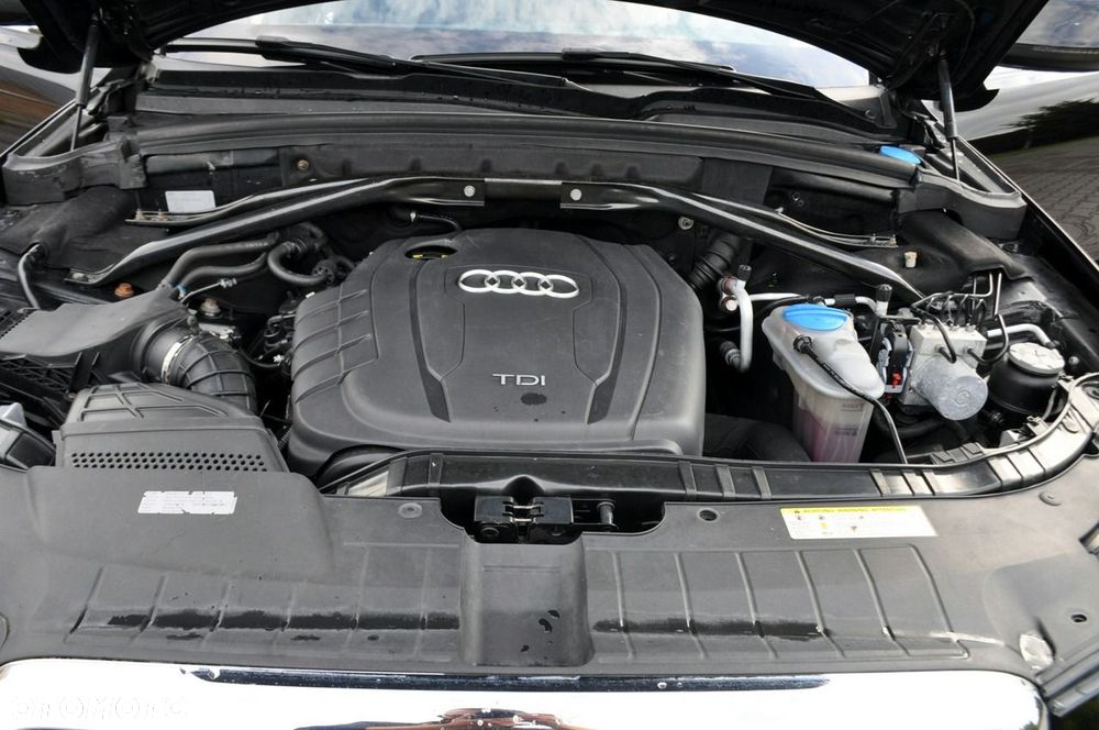 Audi Q5 - 39