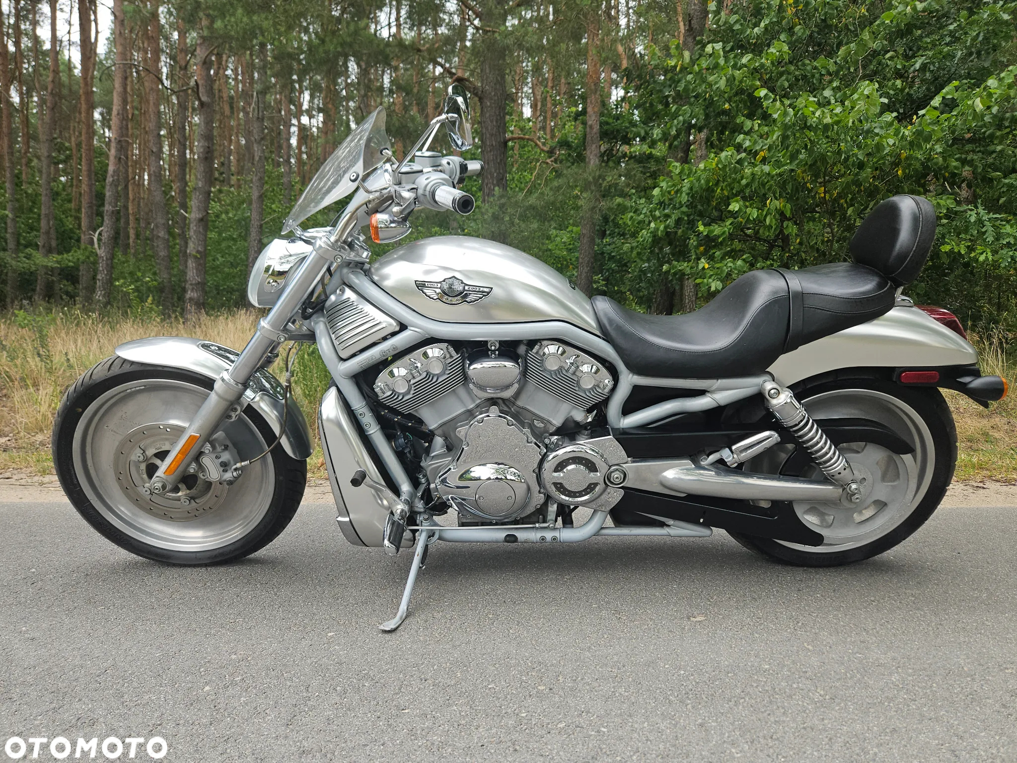 Harley-Davidson V-Rod Street Rod - 12