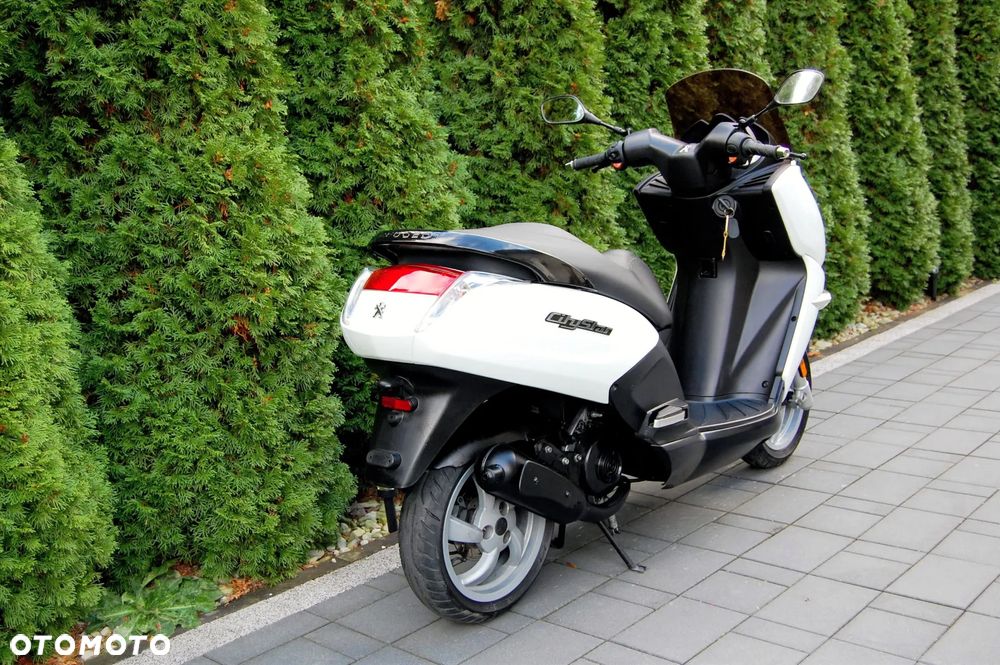 Peugeot Citystar - 3