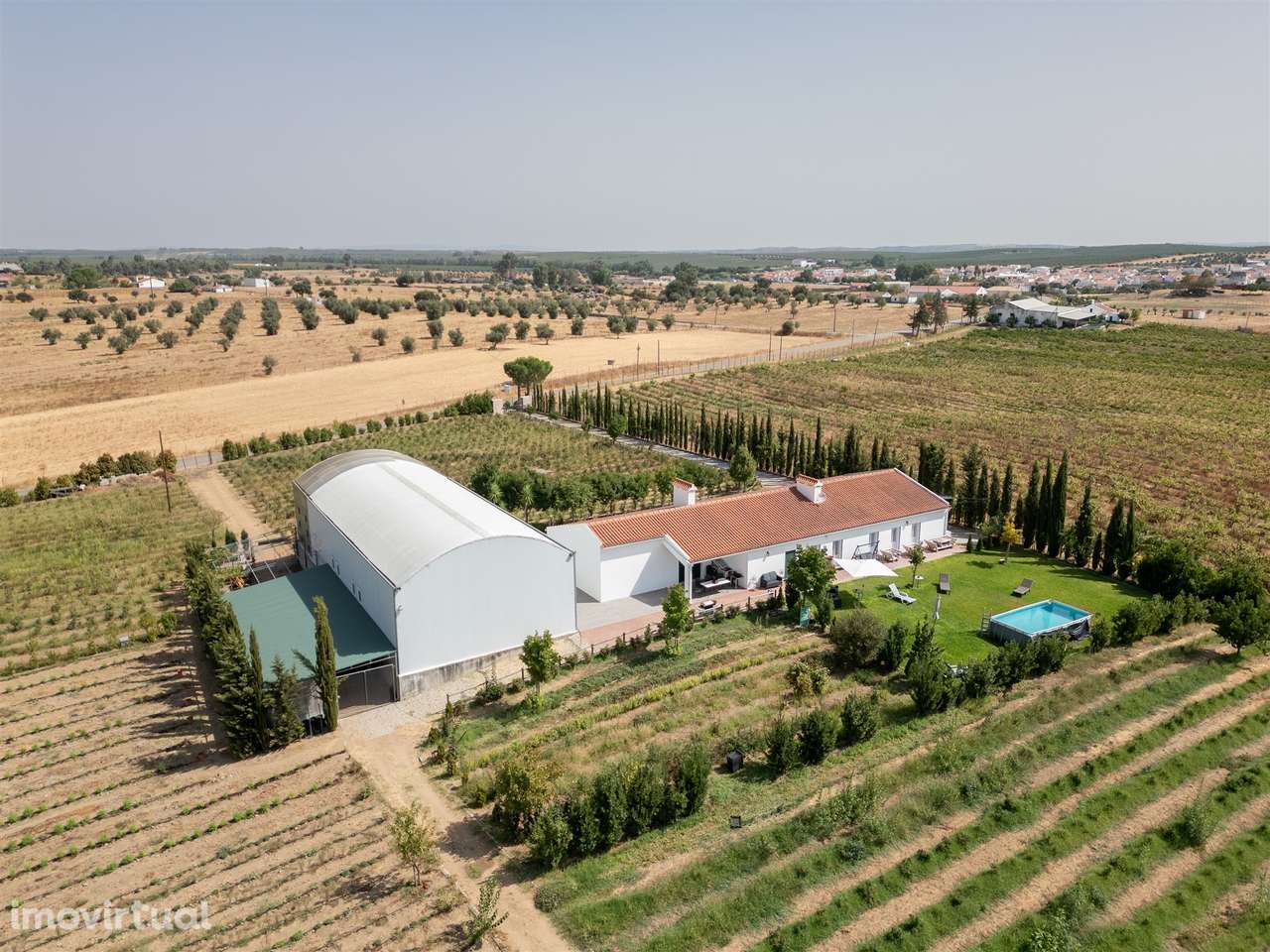 Quinta Biológica - Monte de Palma em Sao Manços com negócio. - Grande imagem: 4/54