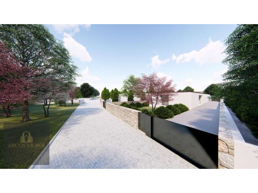 Lote Argivai - Grande imagem: 2/6