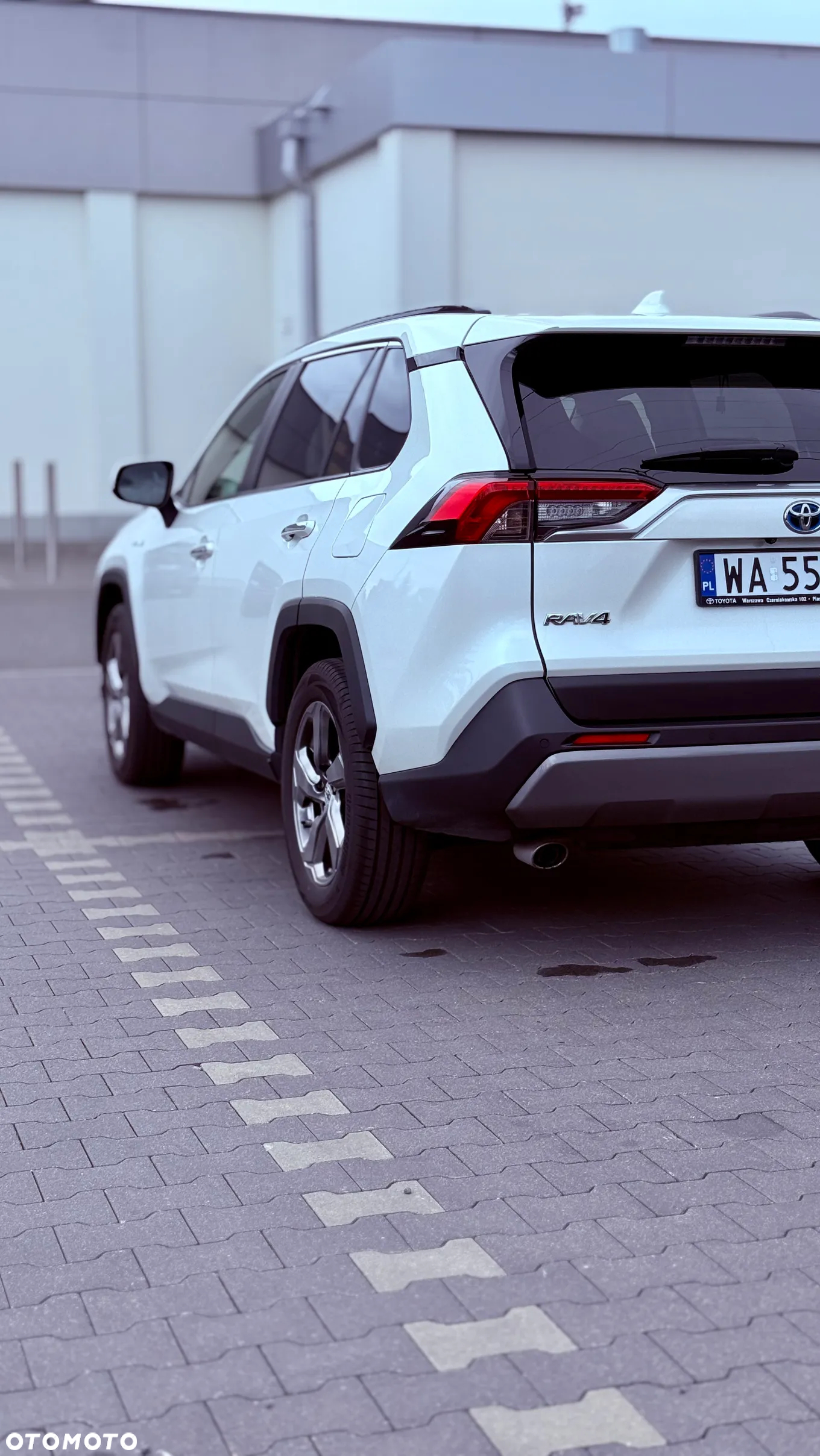 Toyota RAV4 2.5 Hybrid Executive 4x2 - 6