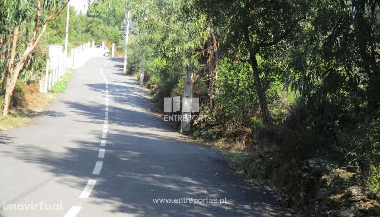 Venda Terreno com área de 15 500m2, Sebolido, Penafiel - Grande imagem: 2/10