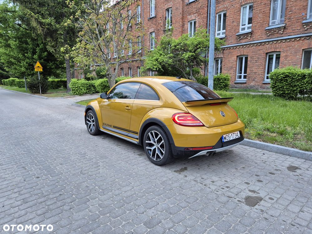 Volkswagen Beetle - 9