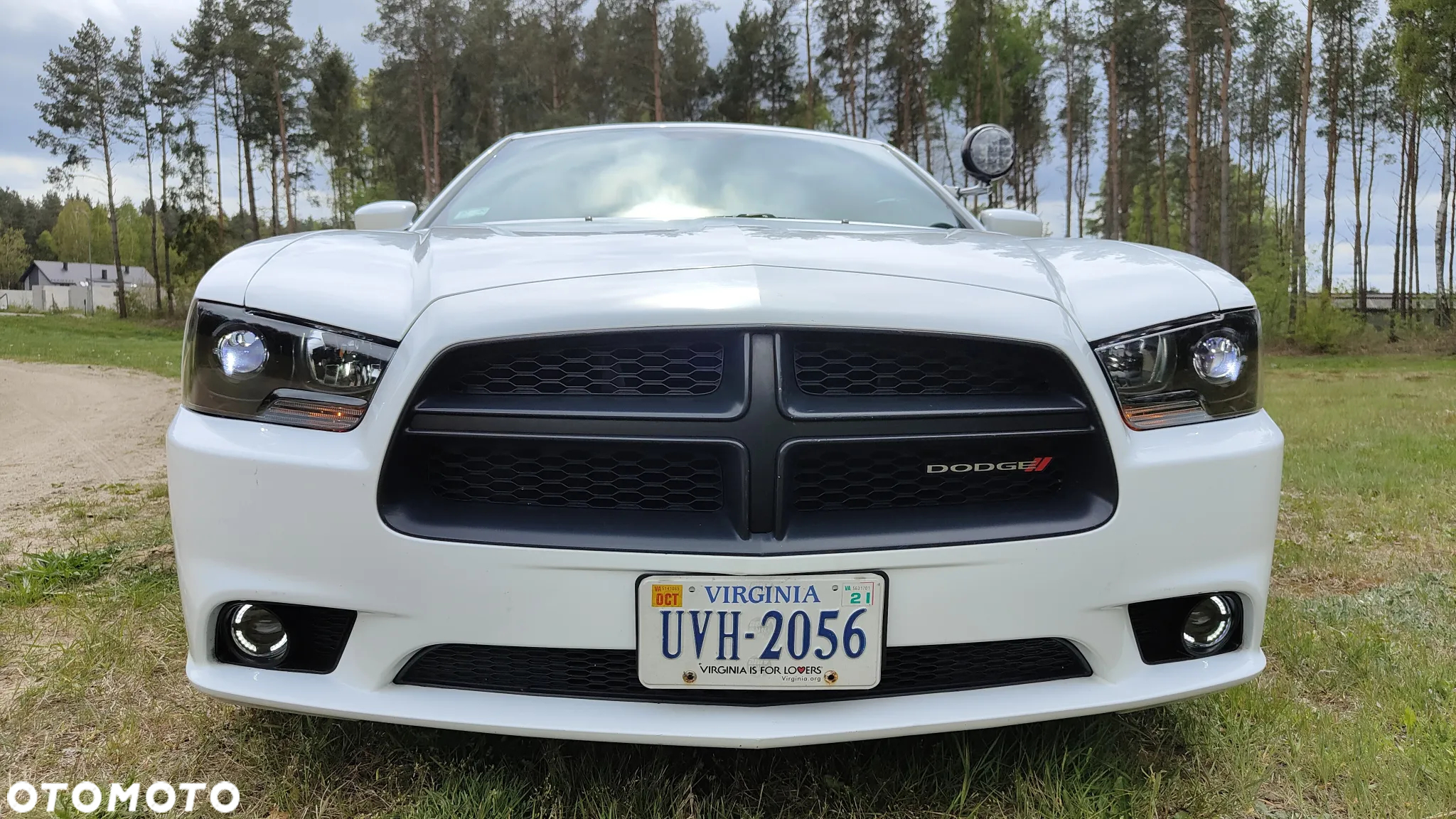 Dodge Charger - 18