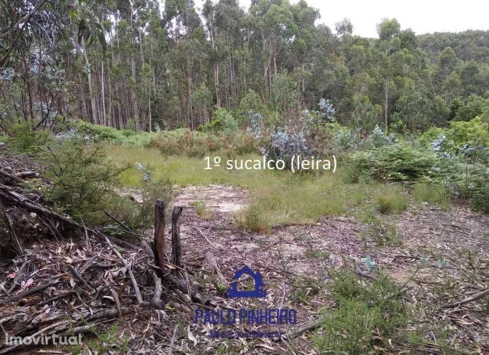 Terreno Baguim do Monte - Grande imagem: 3/12