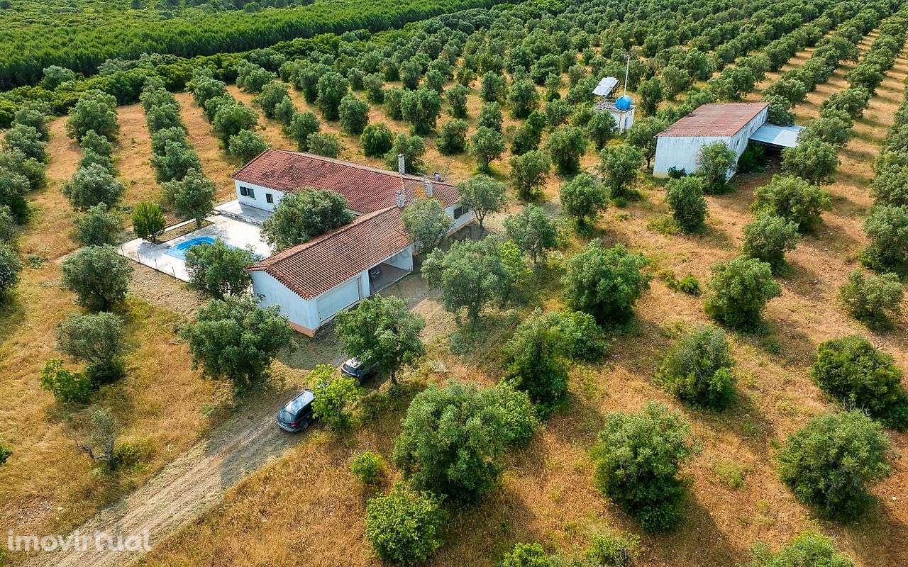 Quinta T4 para venda - Grande imagem: 2/46