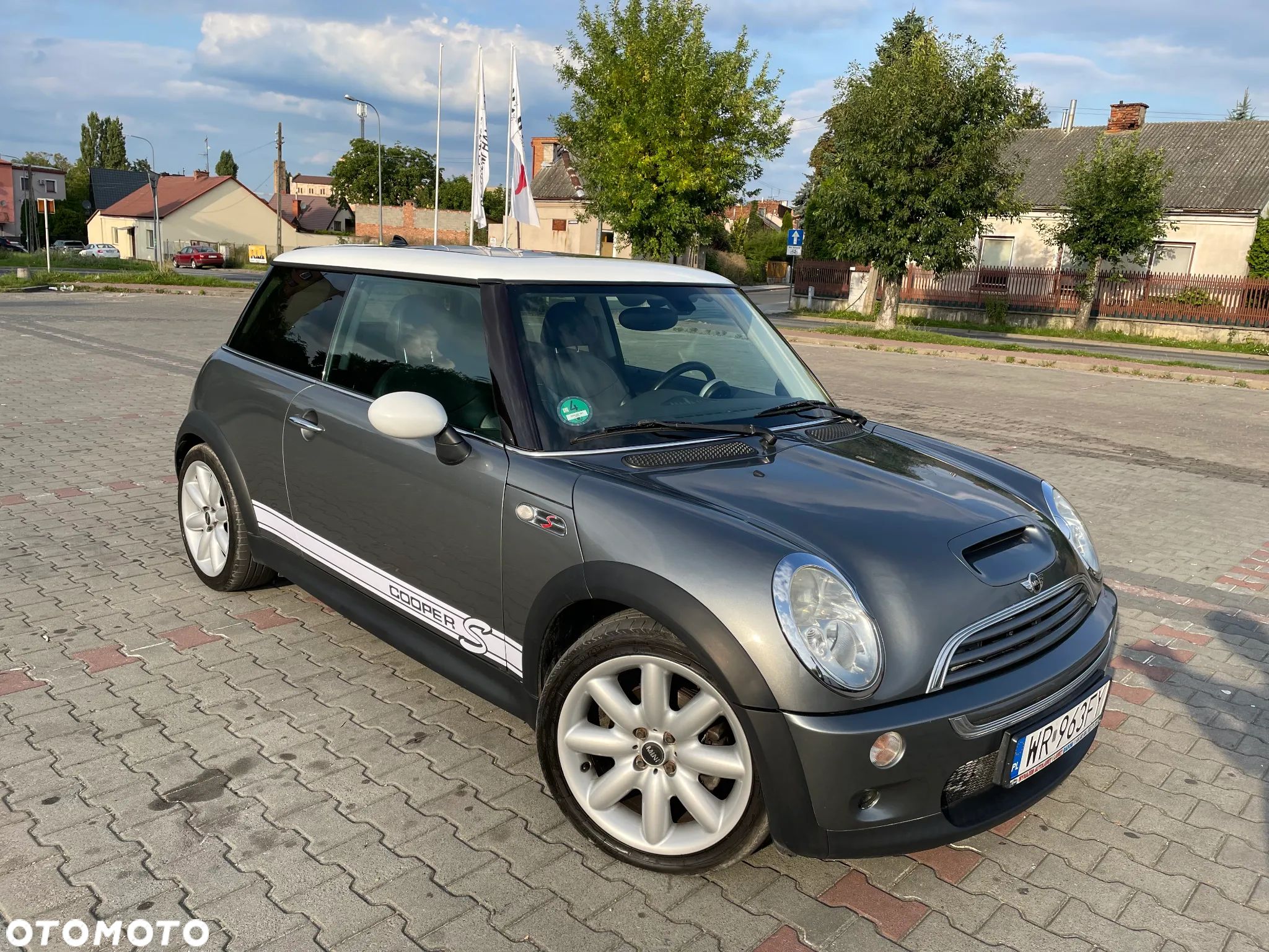 MINI Cooper S chili - 1
