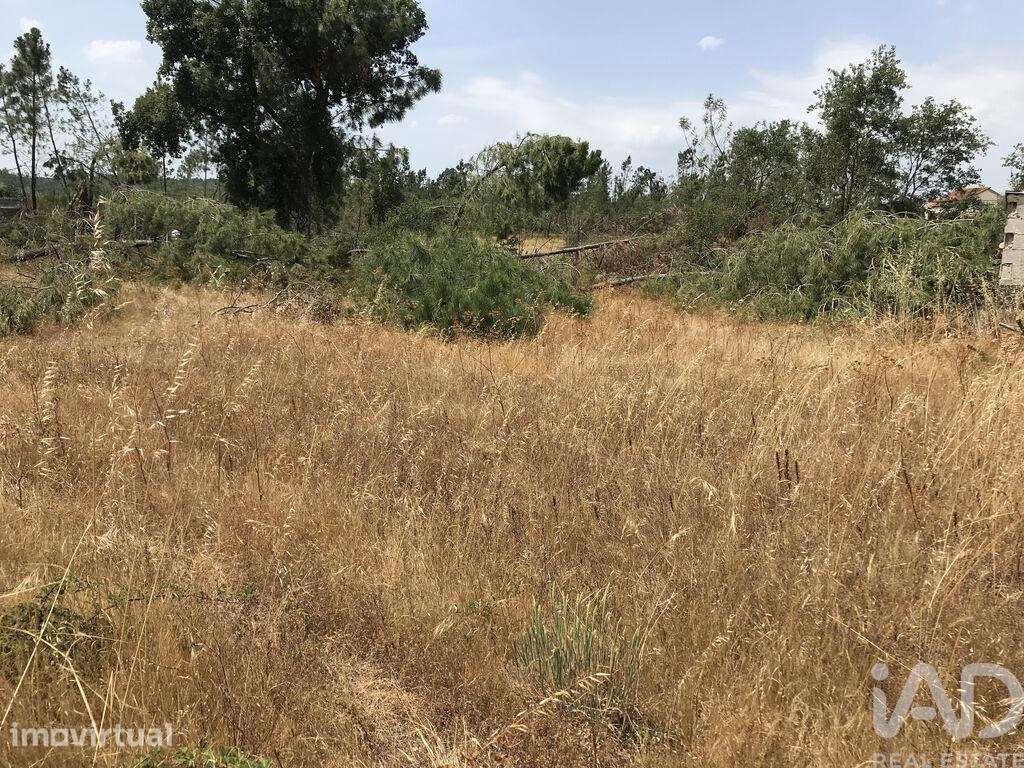Terreno para construção em Freixianda, Ribeira do Fárrio e Formigais - Grande imagem: 5/30