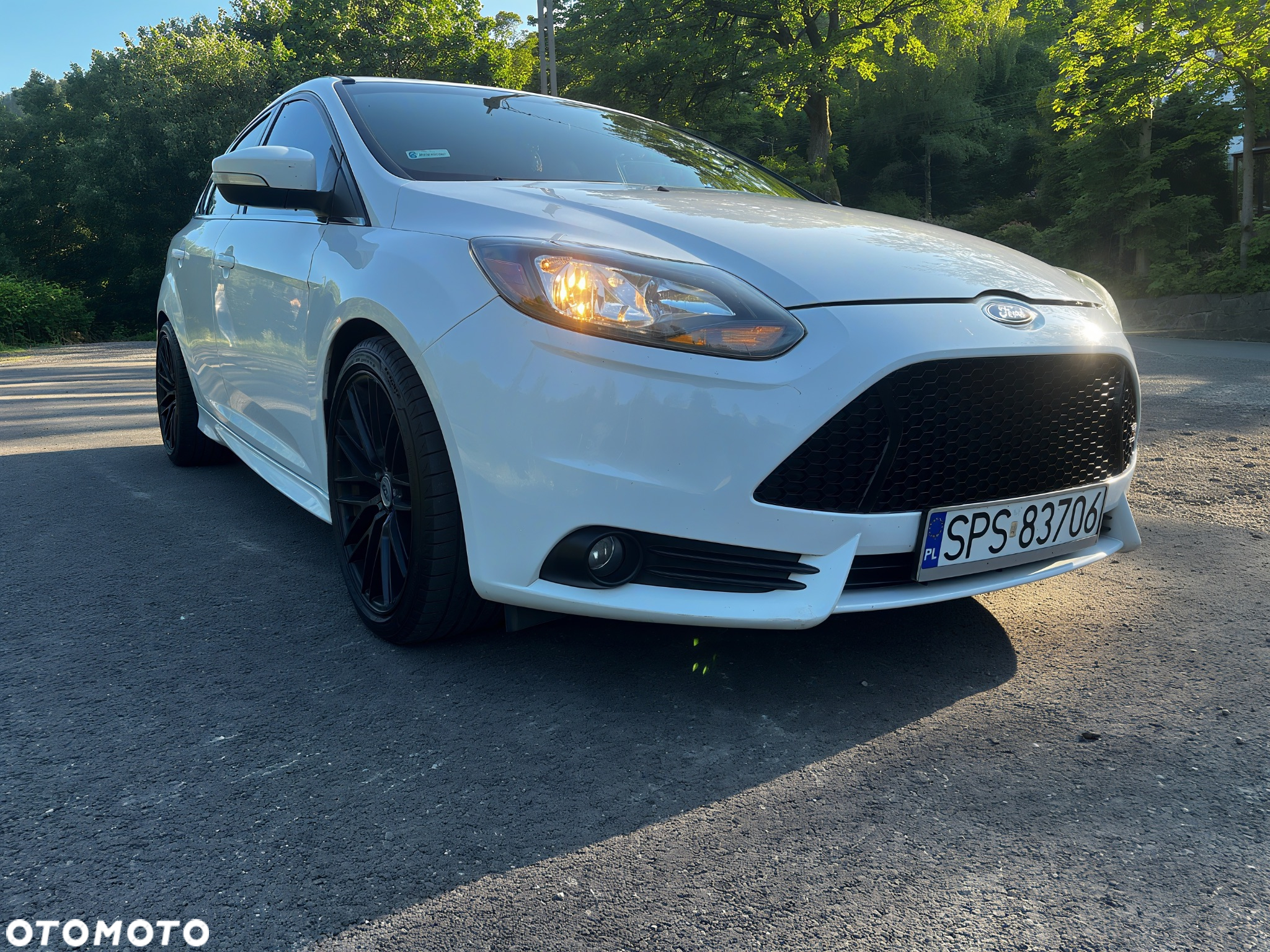 Ford Focus 2.0 EcoBoost ST - 11