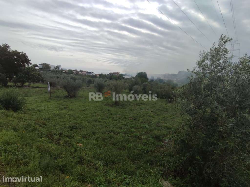 Terreno com 6720m² - Casais, Tomar - Grande imagem: 4/16