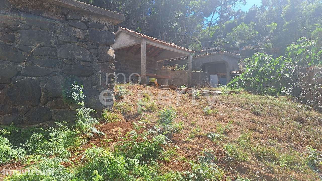 Moradia T2 remodelada na Ribeirinha, Camacha - Grande imagem: 5/37