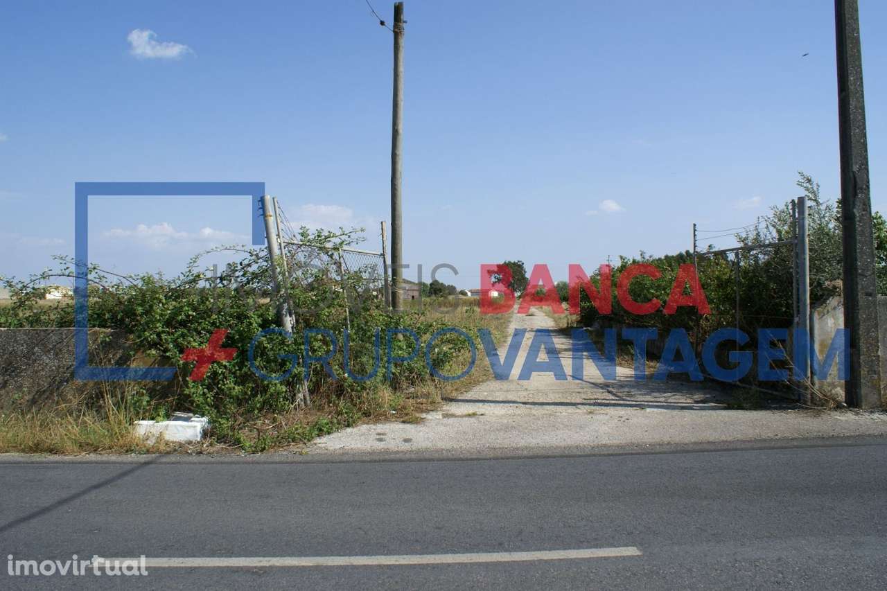 Terreno misto no Montijo - Grande imagem: 2/20