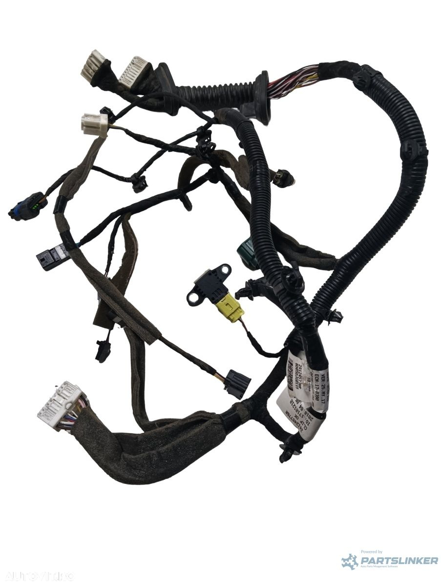 Instalatie electrica usa  stanga fata RENAULT KOLEOS II 2016 - > - 2