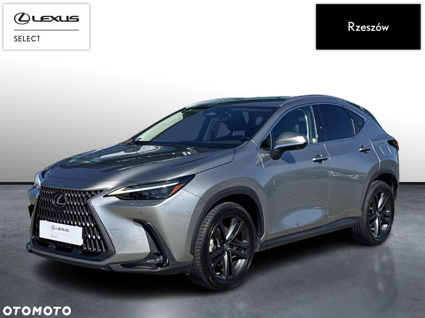 Lexus NX 350h Prestige AWD - 1