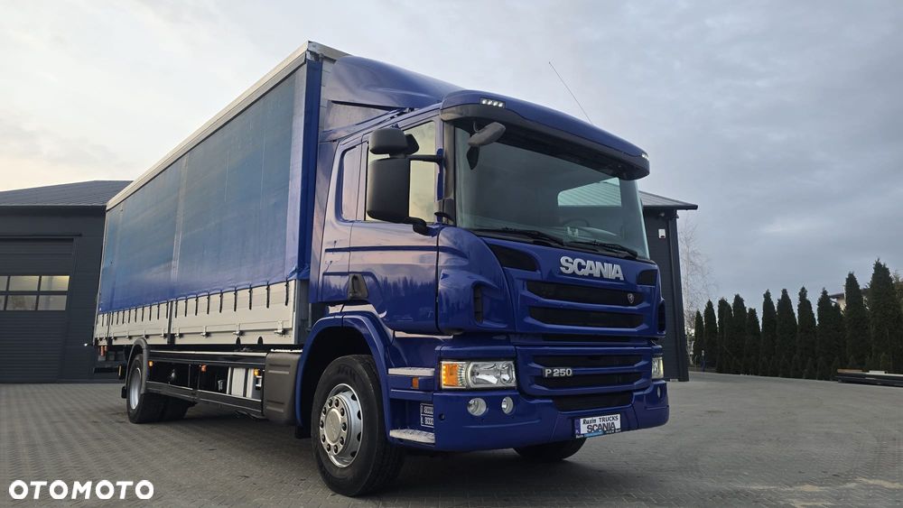 Scania P250 Euro 6 21 palet super stan niski przebieg rama do zabudowy kurierka laweta - 36
