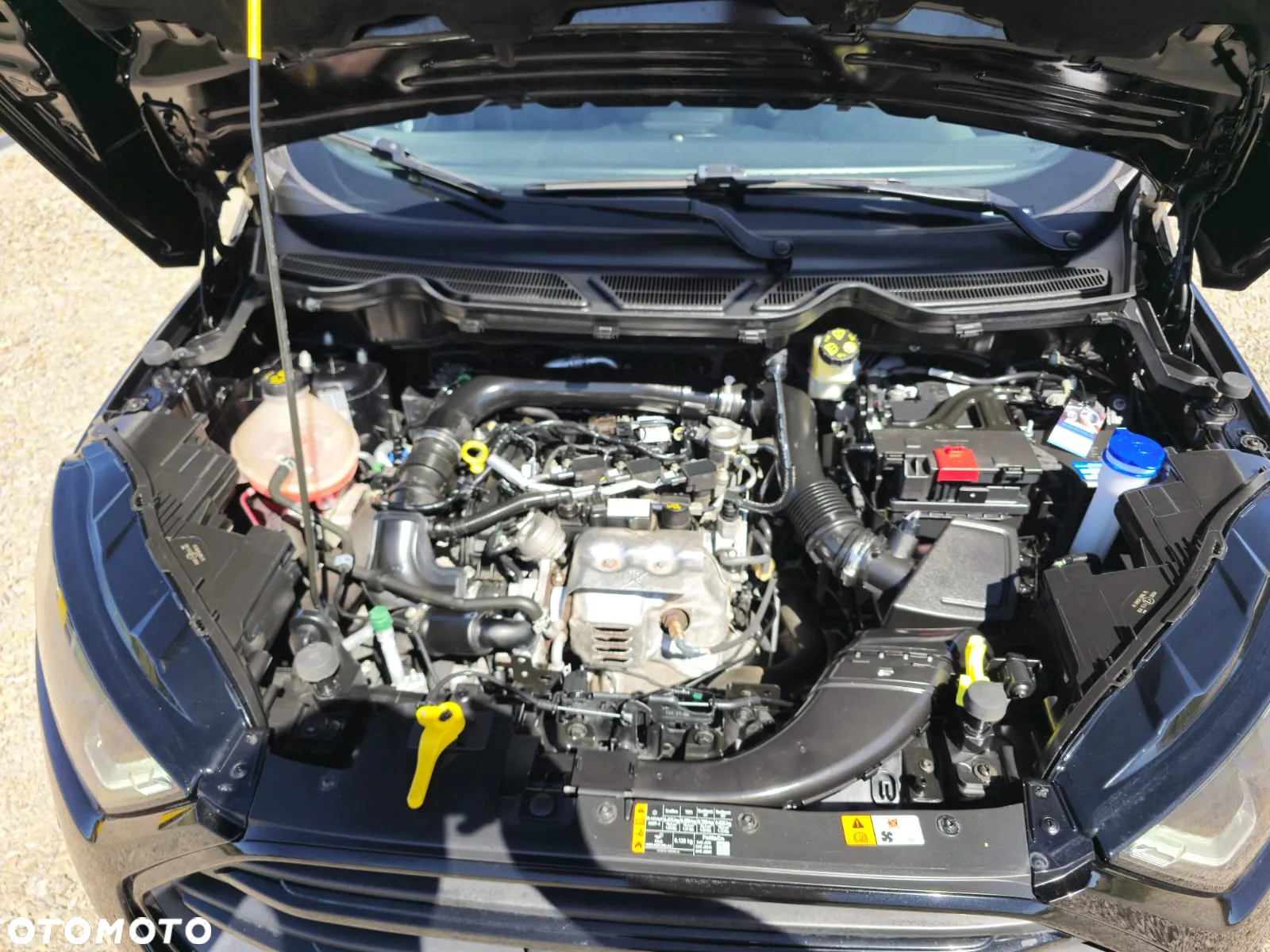 Ford EcoSport 1.0 EcoBoost GPF Titanium ASS - 17