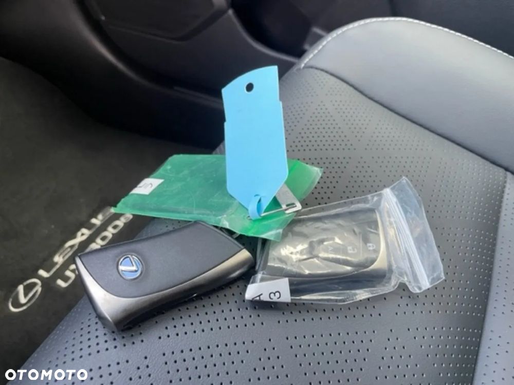 Lexus UX 300e 54.3 kWh Business Edition 2WD - 23