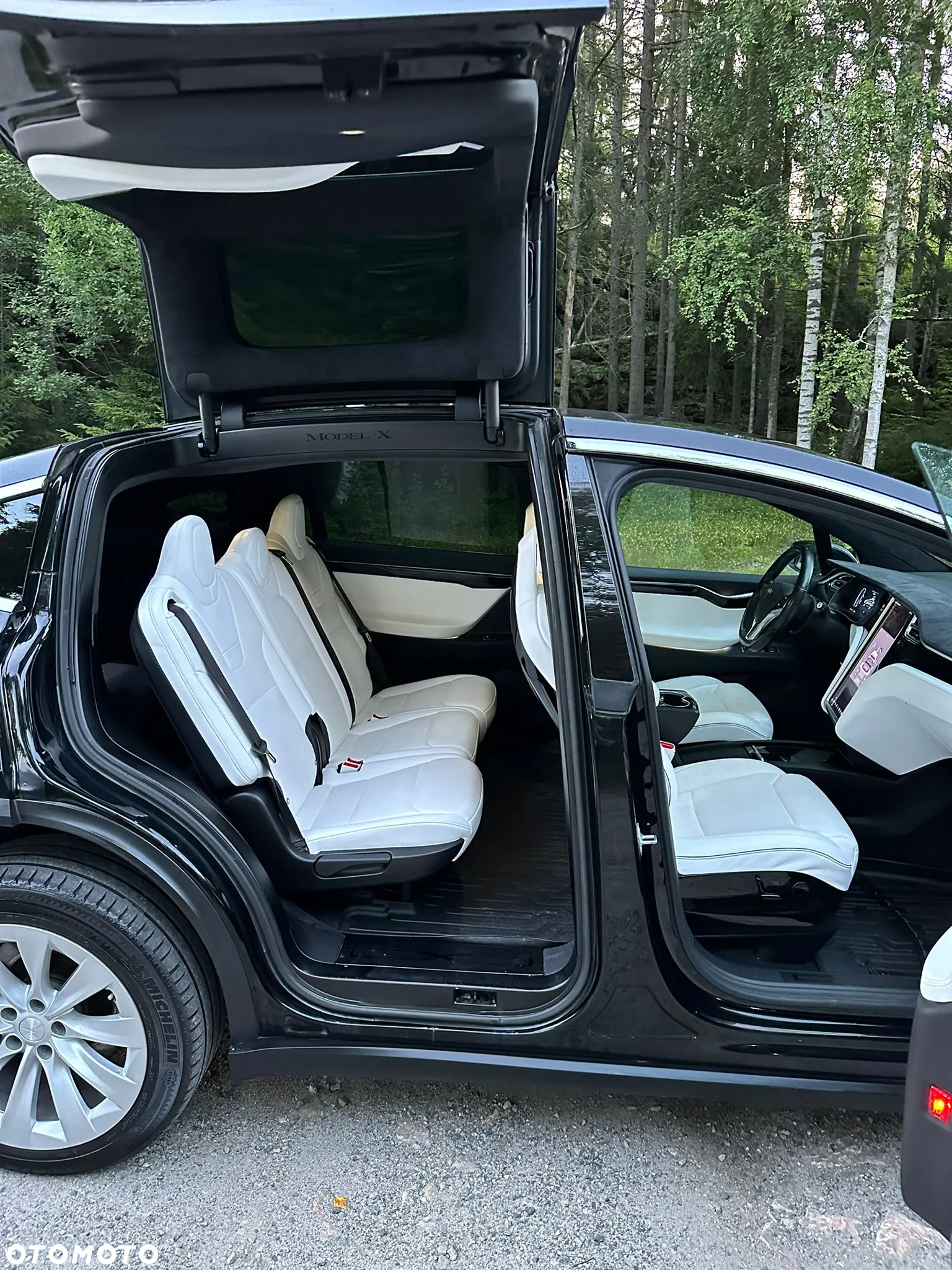 Tesla Model X Long Range Plus - 2