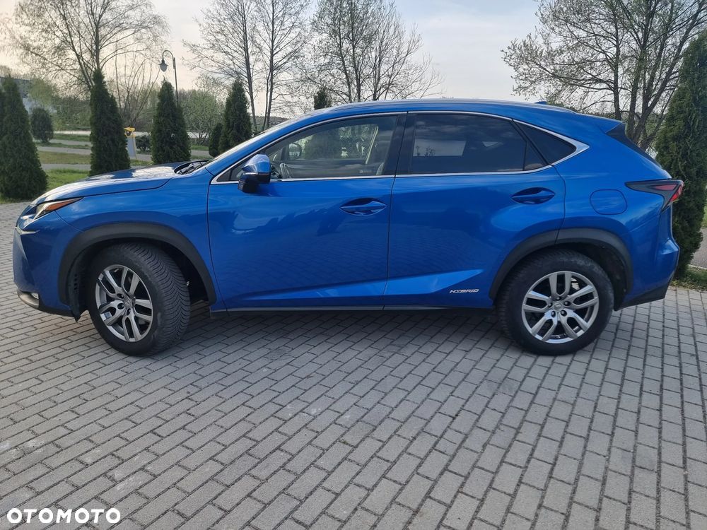 Lexus NX - 8