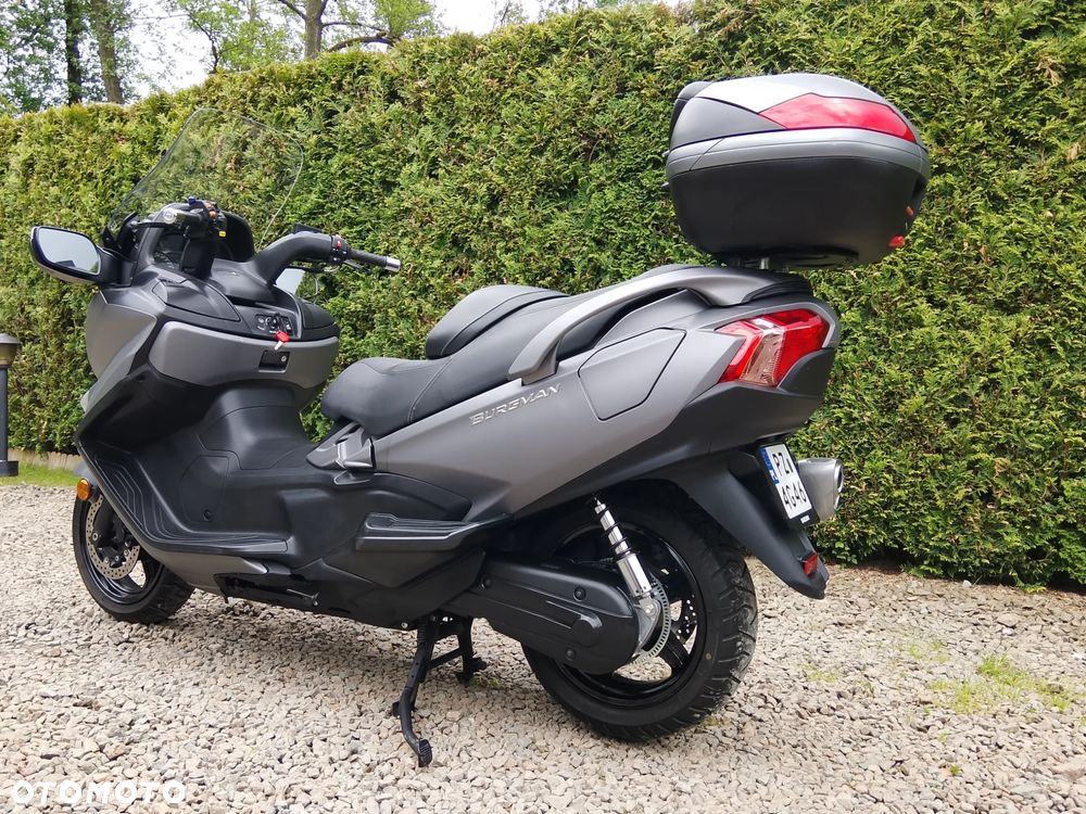 Suzuki Burgman - 14