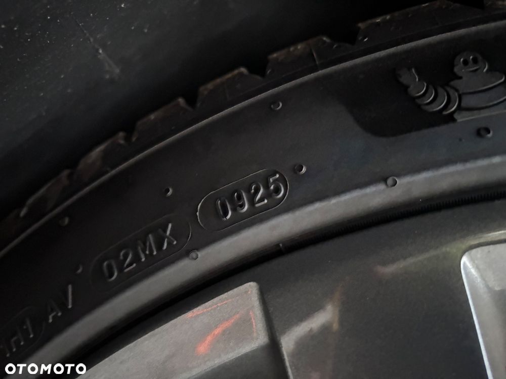 Volkswagen Beetle - 19