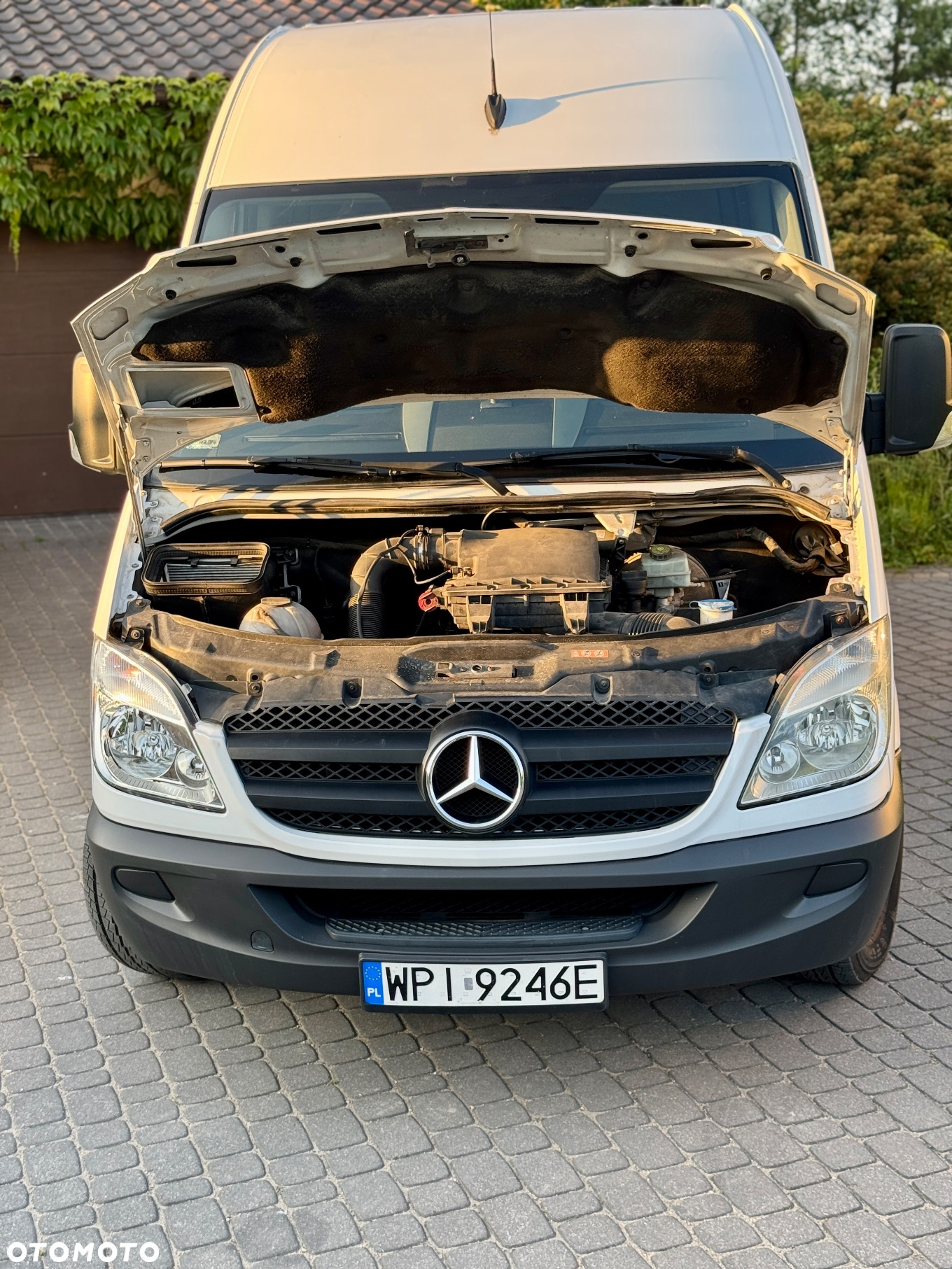 Mercedes-Benz Sprinter 213 CDI 906.213 - 15