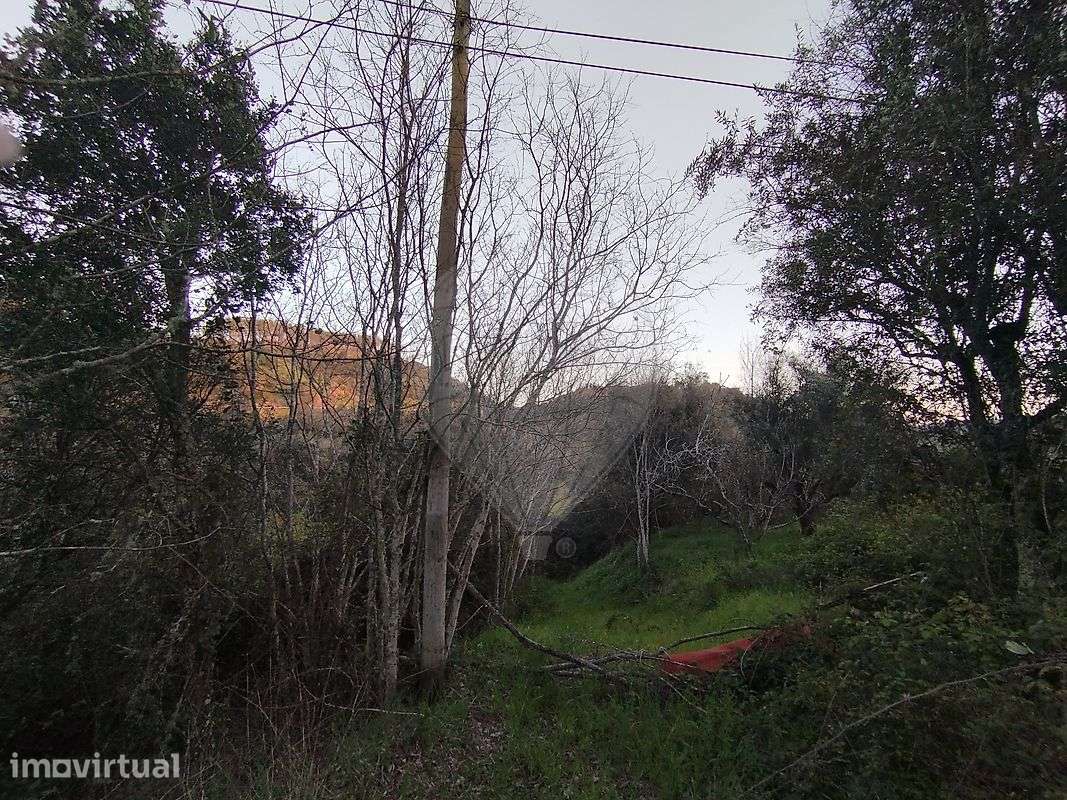 Terreno  para venda - Grande imagem: 2/3