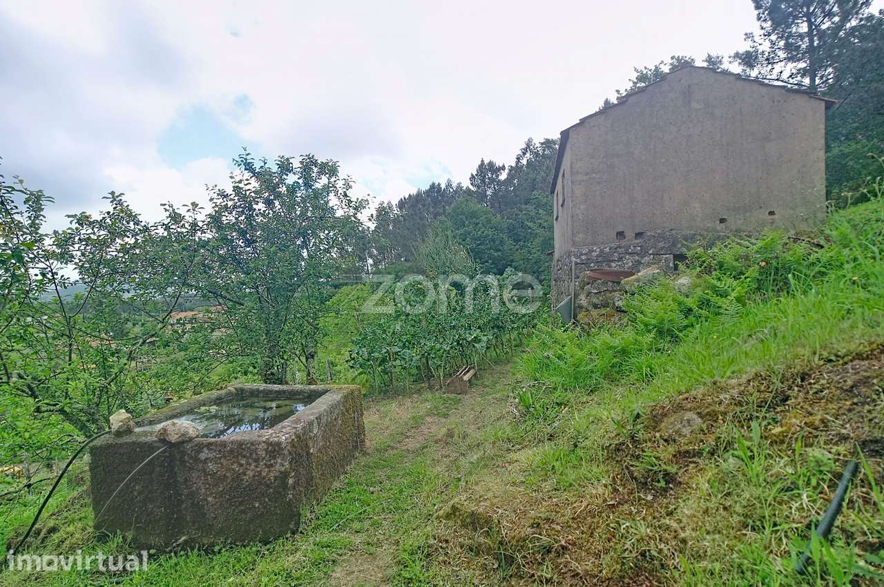 QUINTA COM 2 MORADIAS | SÃO JOÃO DO MONTE - Grande imagem: 5/37