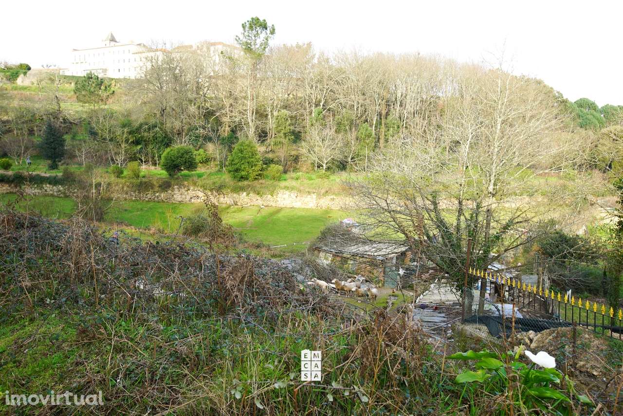 Terreno Rústico  Venda em Vila de Cucujães,Oliveira de Azeméis - Grande imagem: 4/8