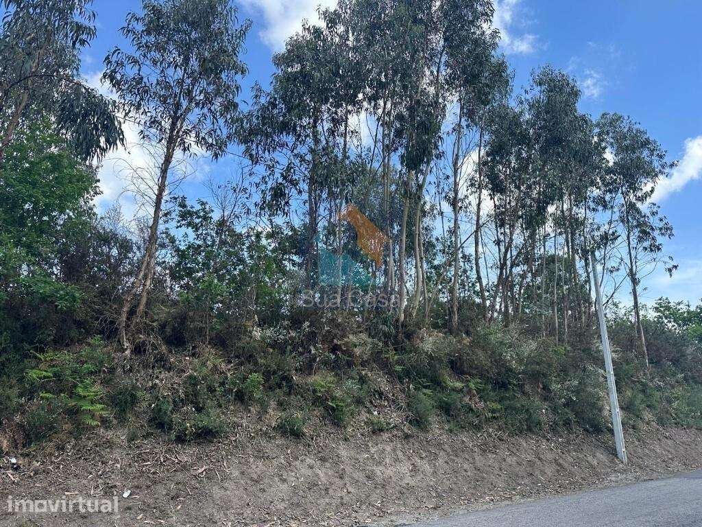 Venda Terreno - Grande imagem: 2/15