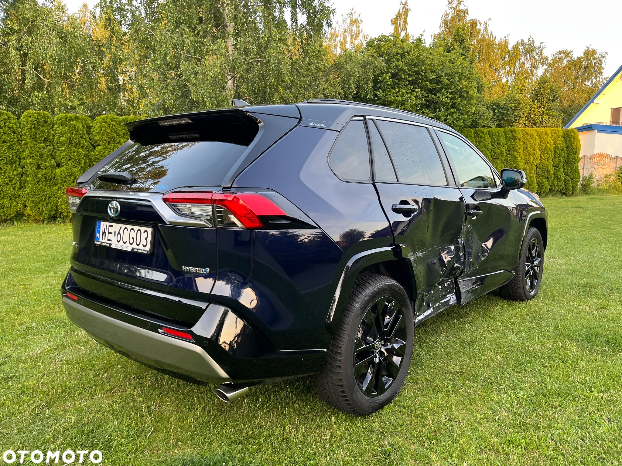 Toyota RAV4 2.5 Hybrid Selection 4x2 - 7