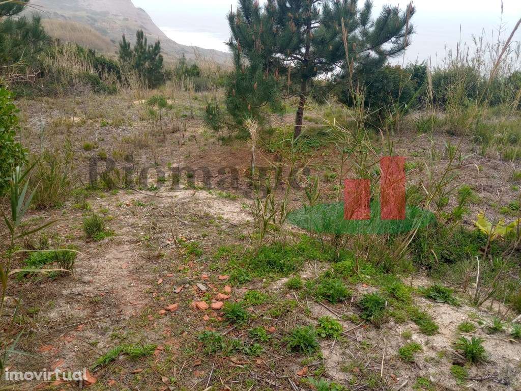 Terreno - Estrada Atlântica***RIOMAGIC*** - Grande imagem: 3/19