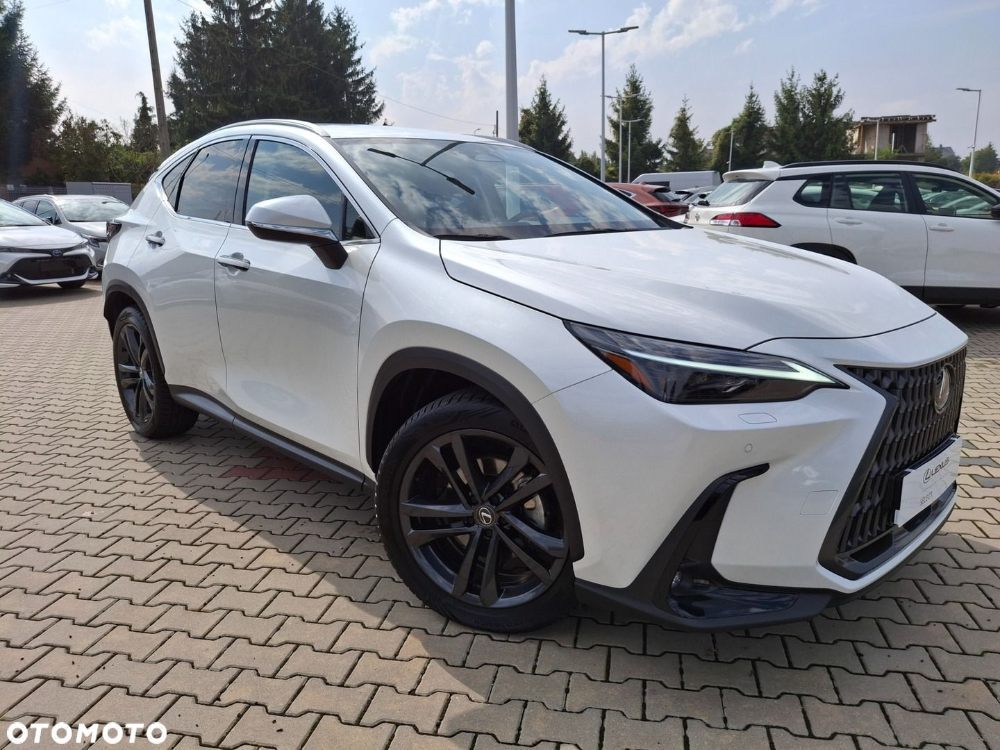 Lexus NX 350h Prestige AWD - 35