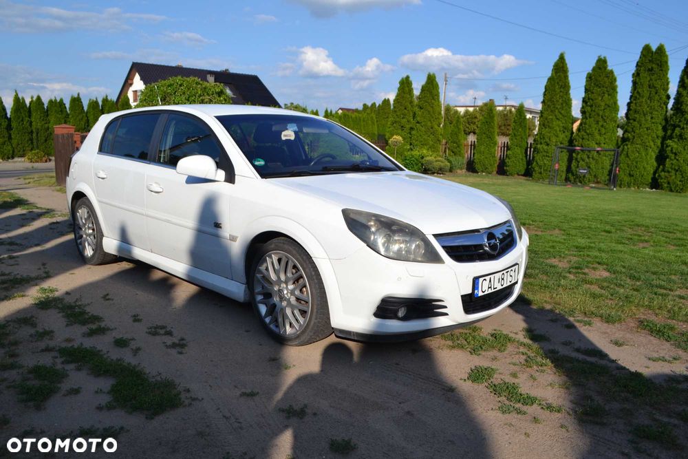 Opel Signum - 2