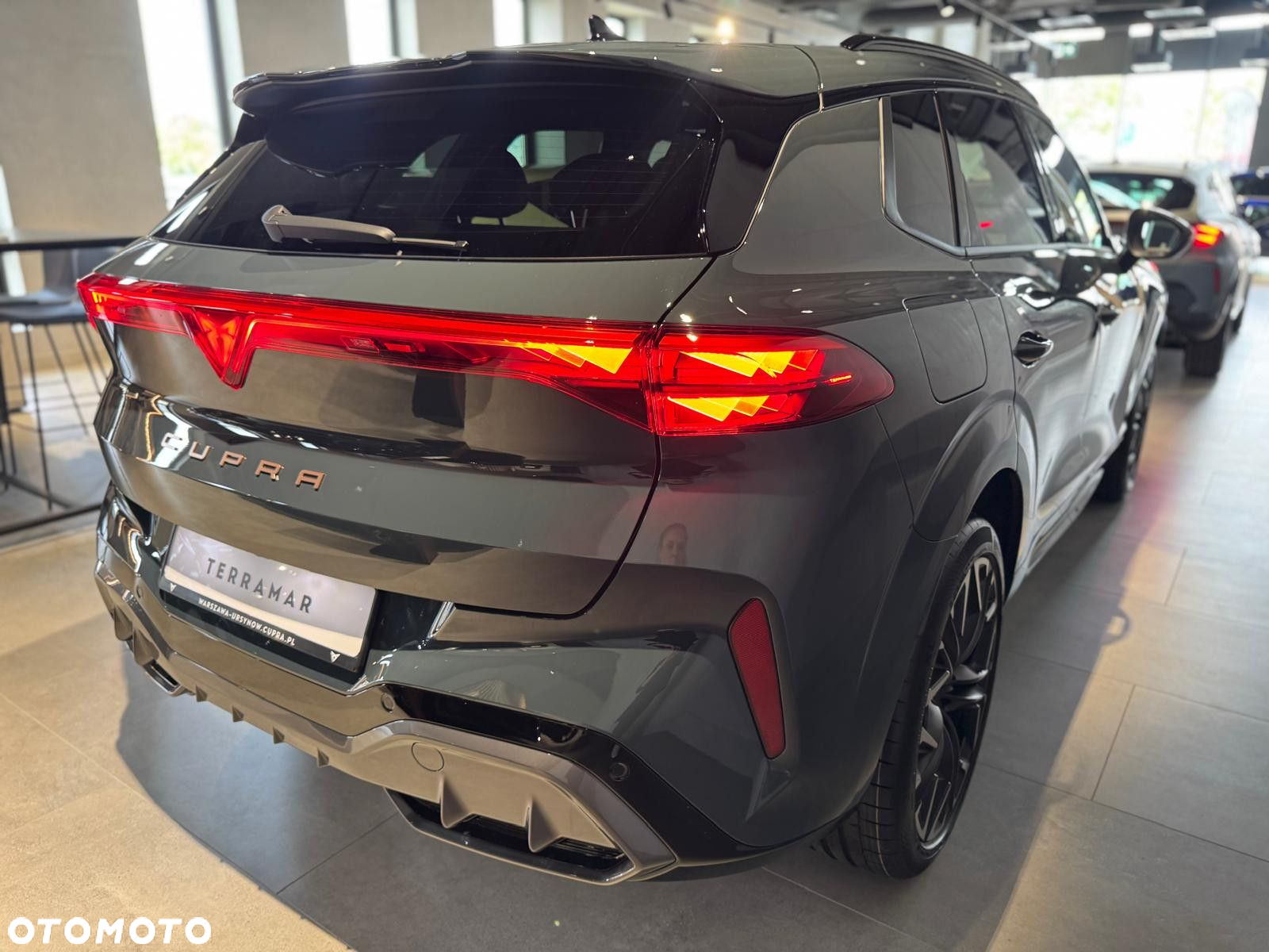 Cupra Terramar - 4