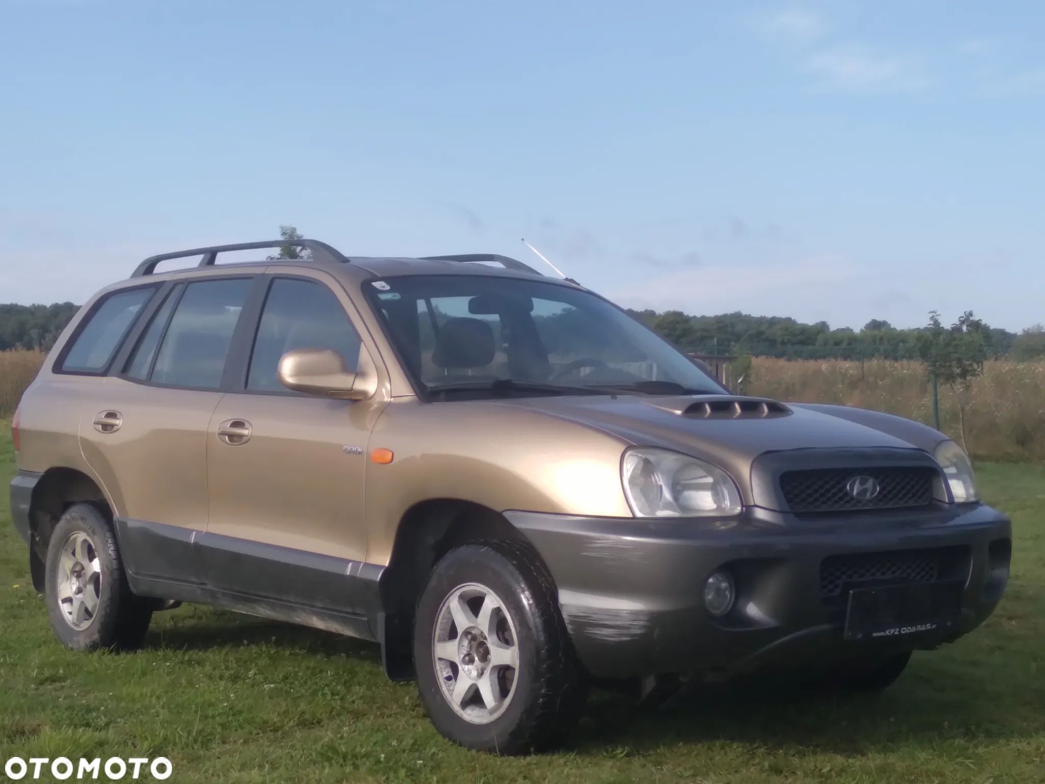 Hyundai Santa Fe - 1