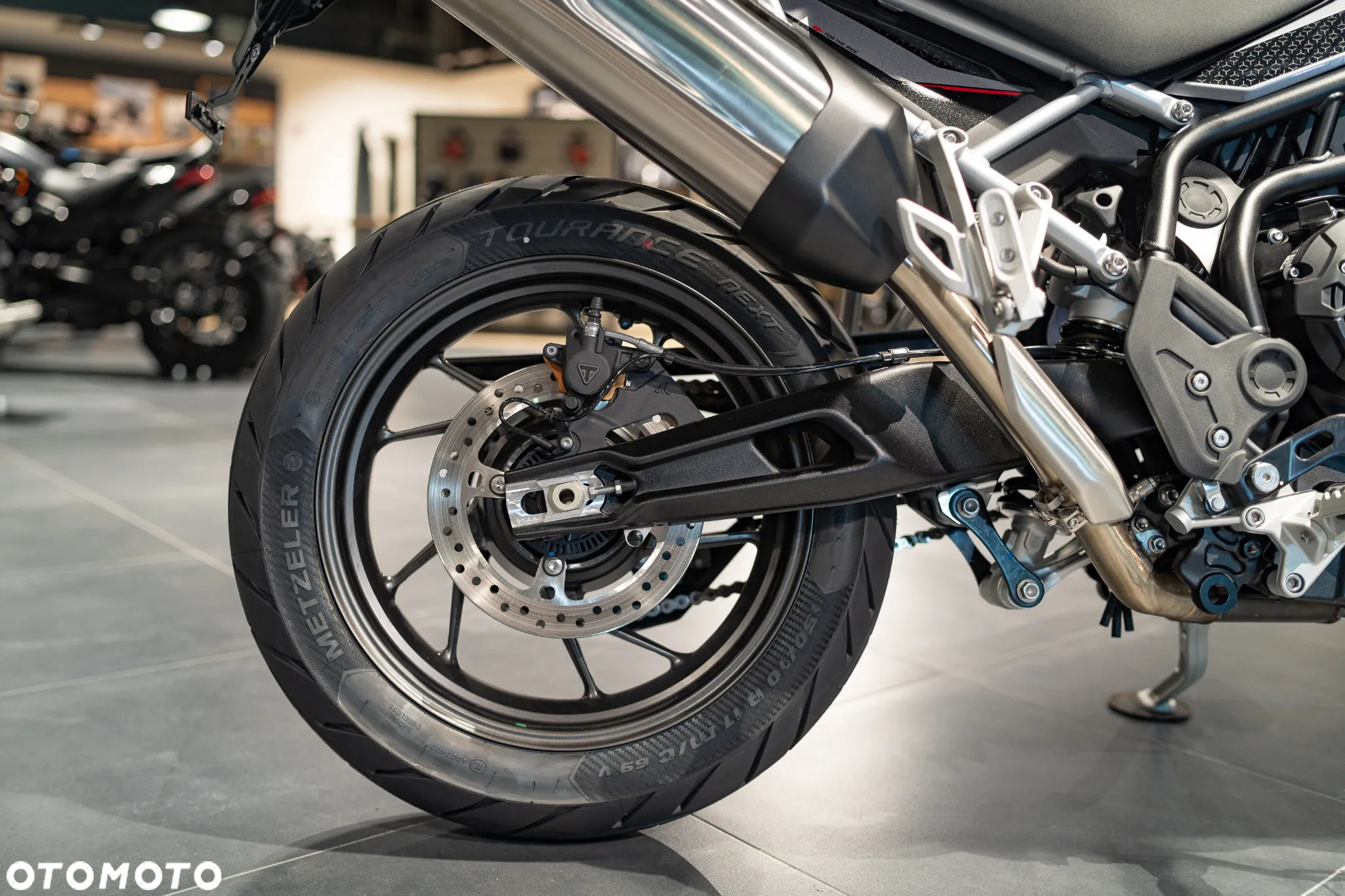 Triumph Tiger - 11
