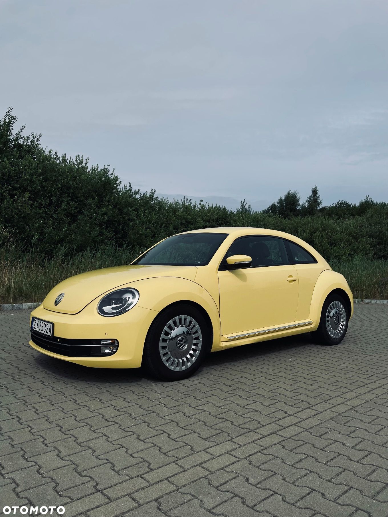 Volkswagen New Beetle - 1