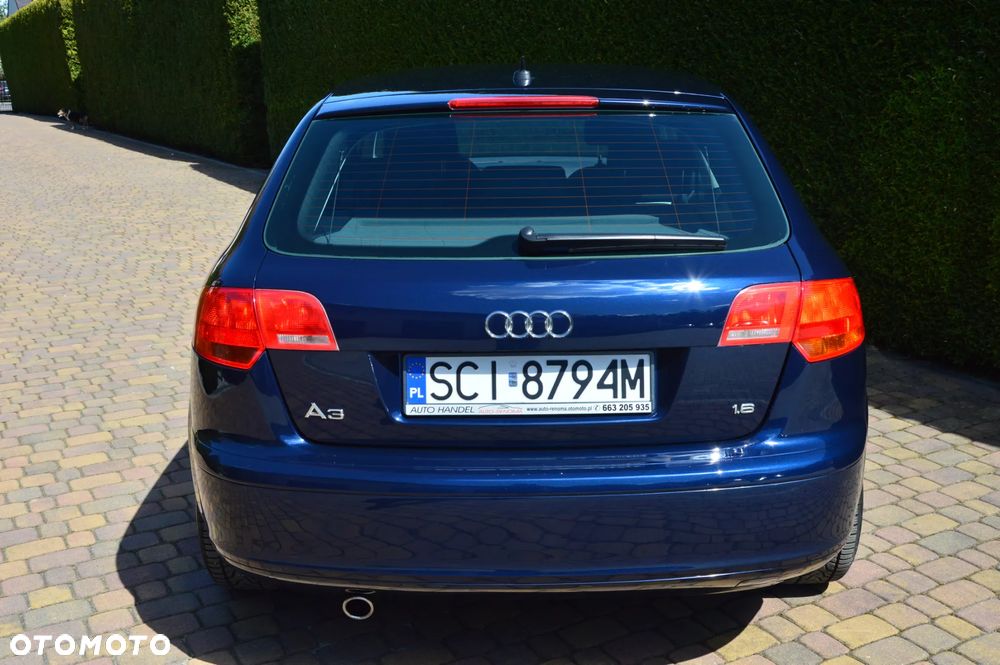Audi A3 Sportback 1.6 Ambition - 33