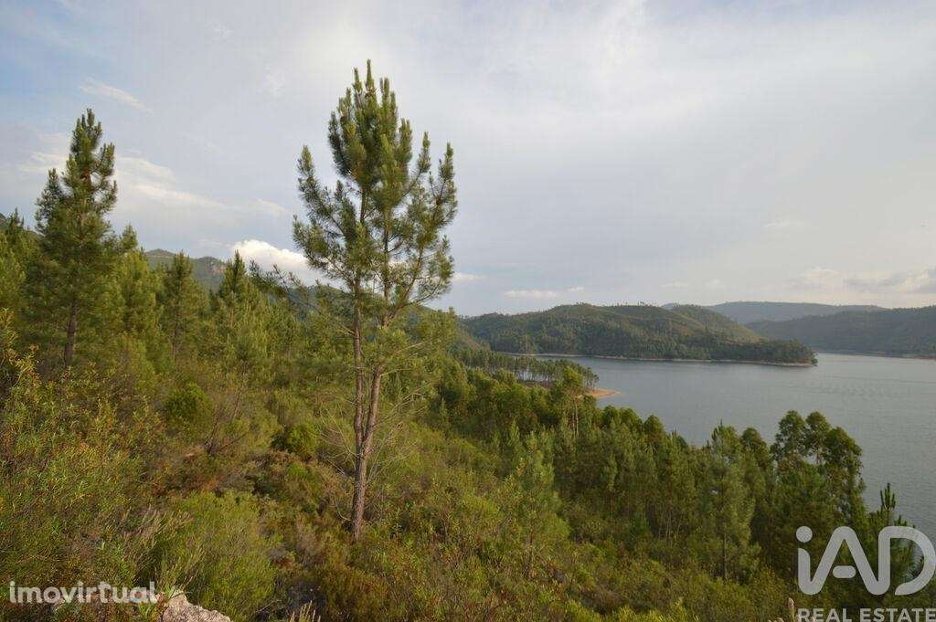 Terreno em Sertã de 9450,00 m2 - Grande imagem: 4/24