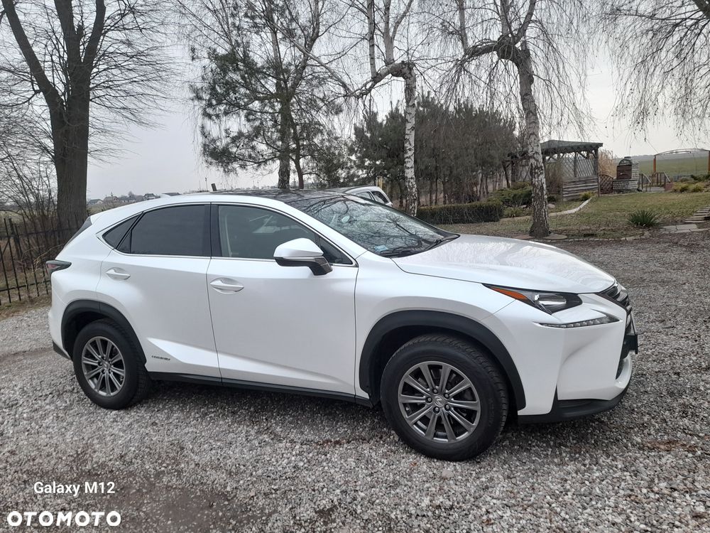 Lexus NX 300h Comfort AWD - 8