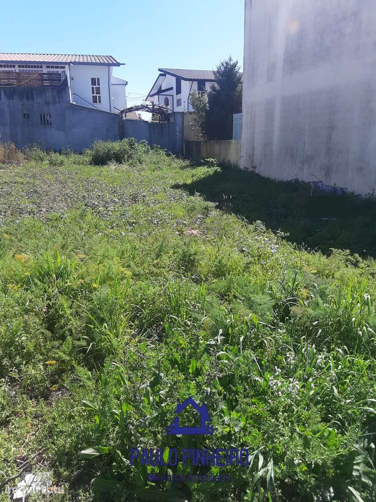 Terreno Trofa - Grande imagem: 2/5