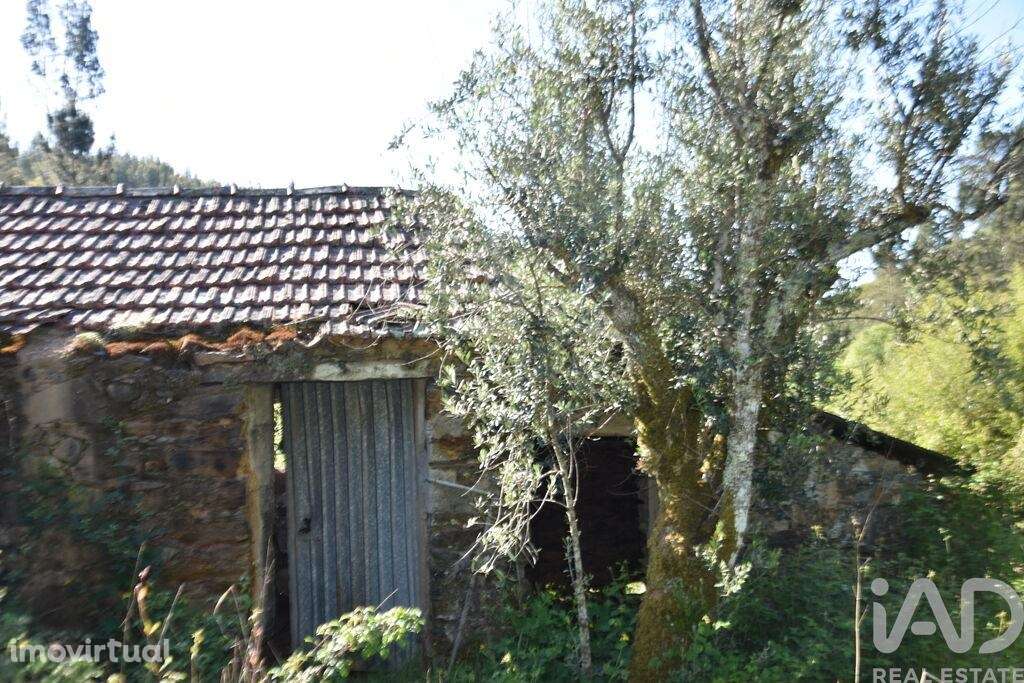 Casa de Campo em Pampilhosa da Serra - Grande imagem: 5/40