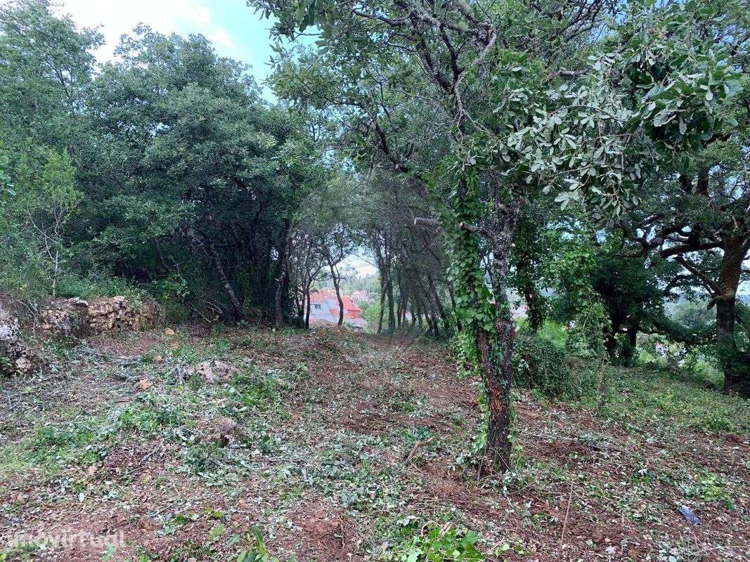 Terreno  para venda - Grande imagem: 4/9